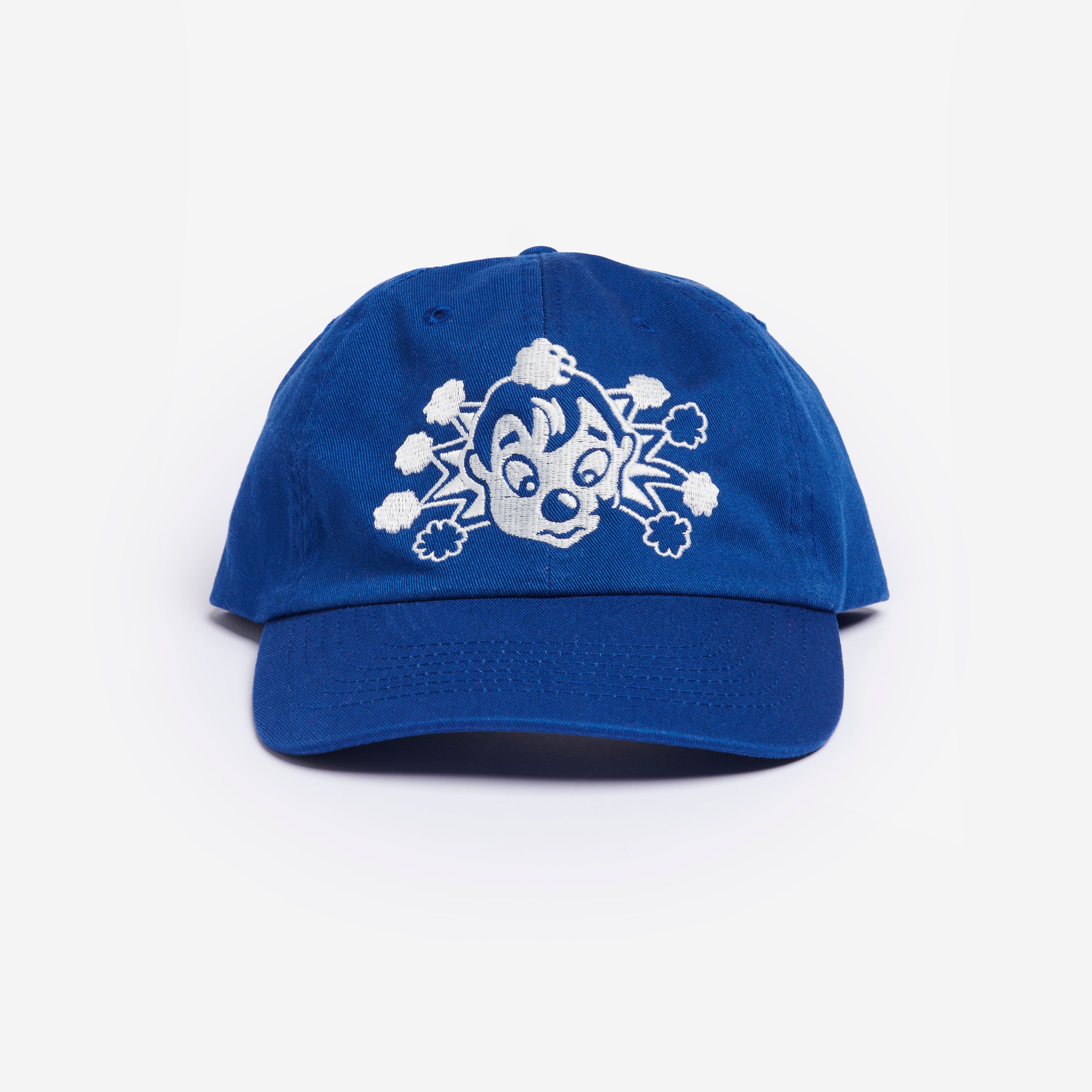 Wiz Logo Hat