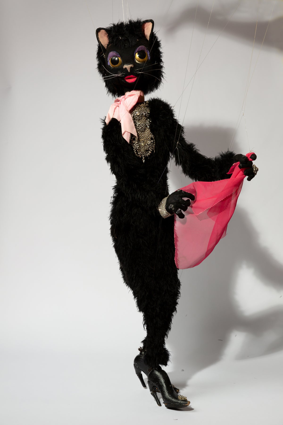 Black Cat